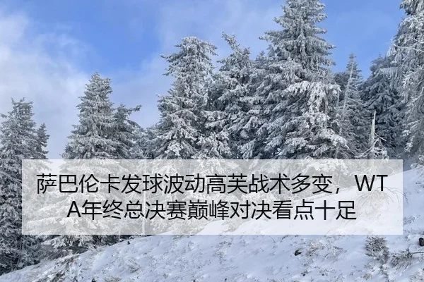 萨巴伦卡发球波动高芙战术多变，WTA年终总决赛巅峰对决看点十足